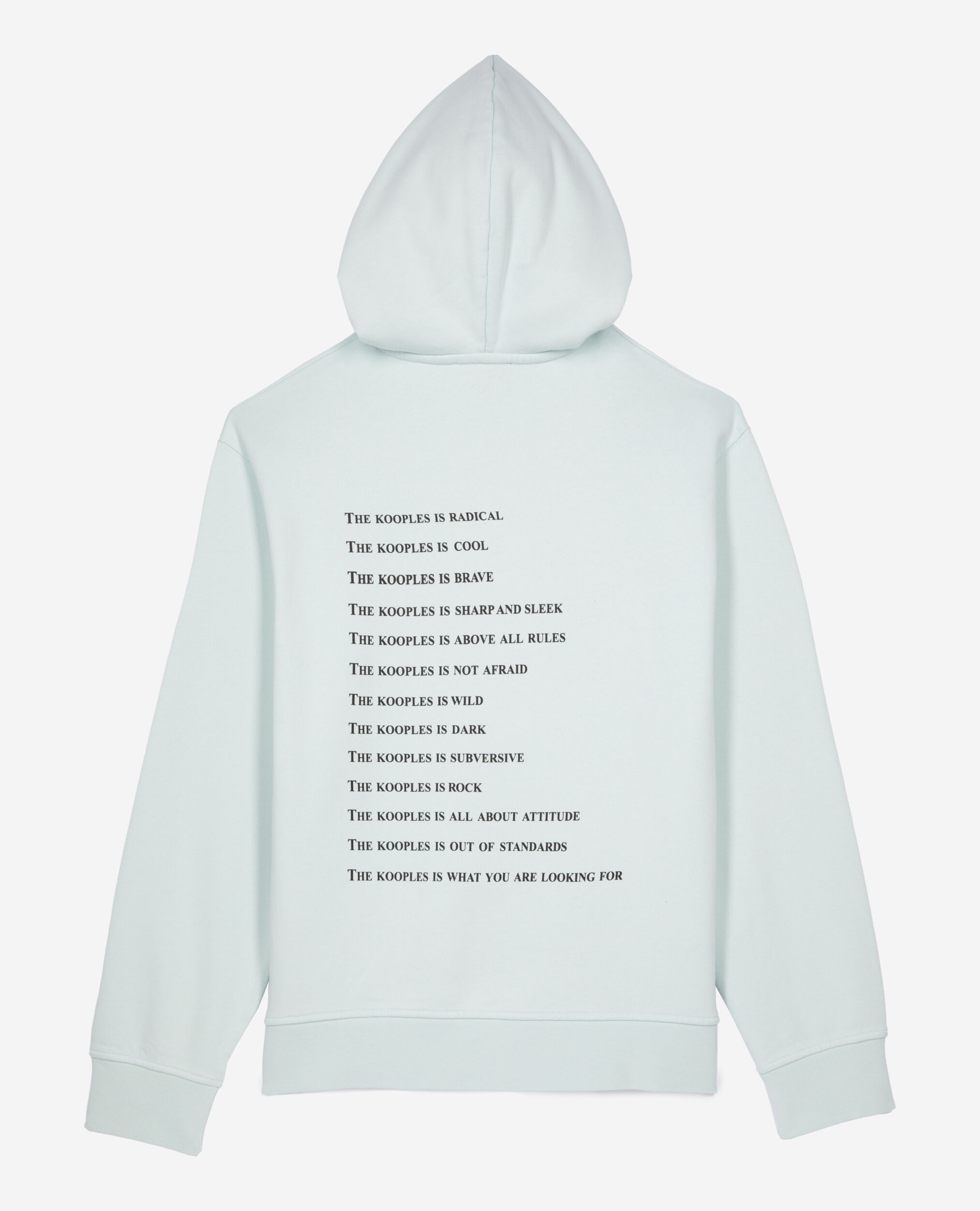 Sweatshirt à capuche What is bleu clair, BABY BLUE, hi-res image number null
