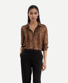 , LEOPARD, hi-res image number null