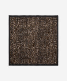 , LEOPARD, hi-res image number null