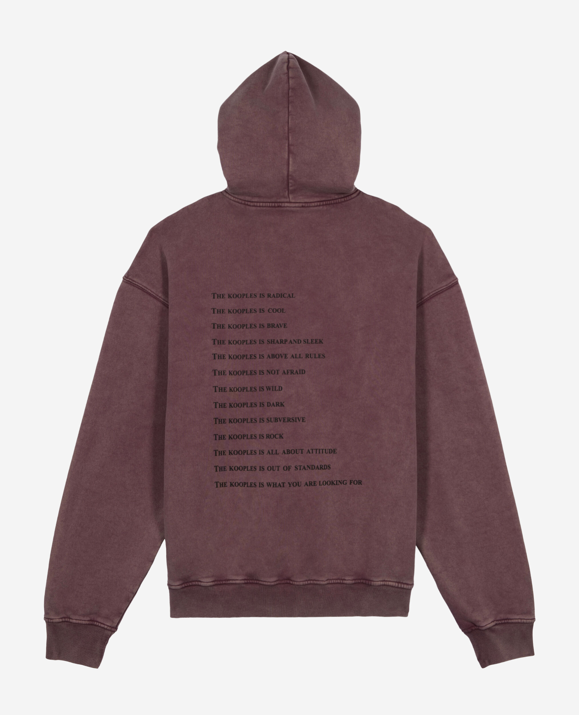 Sweatshirt à capuche What is bordeaux, FIGUE, hi-res image number null