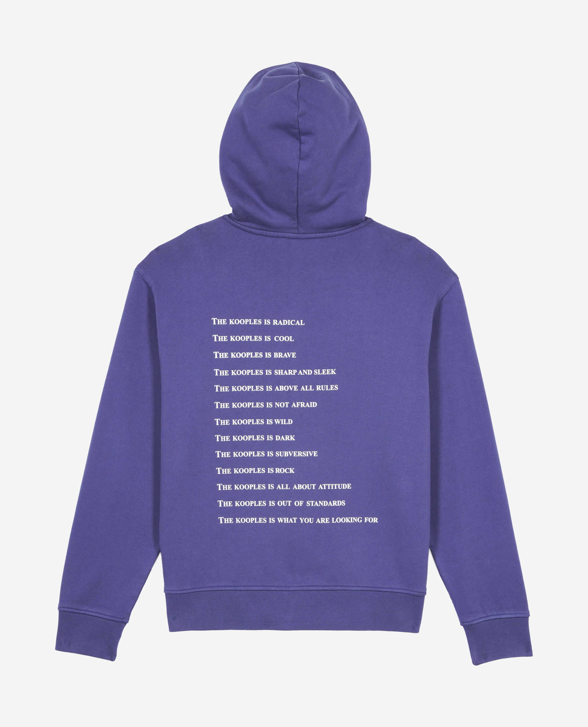 Sweatshirt à capuche What is violet, BLUE ATLANTIQUE, hi-res image number null