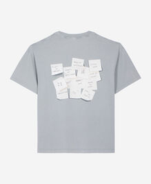 , BLUE GREY, hi-res image number null