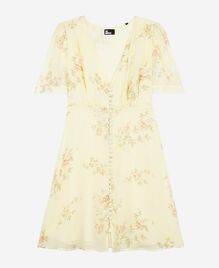 , YELLOW, hi-res image number null