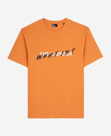 , ABRICOT, hi-res image number null