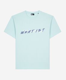, BABY BLUE, hi-res image number null