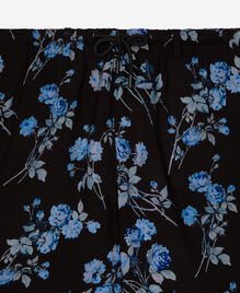 , BLACK BLUE, hi-res image number null