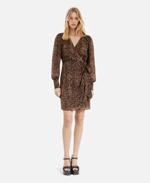 , LEOPARD, hi-res image number null