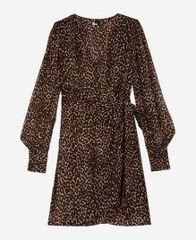 , LEOPARD, hi-res image number null