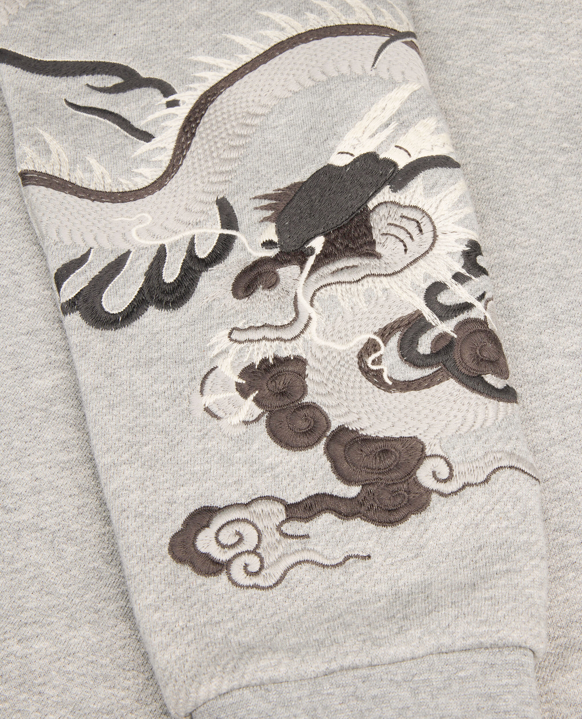 Sweatshirt à capuche avec manches brodées gris, GREY MELANGE, hi-res image number null