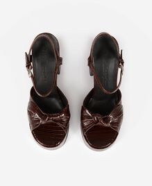 , BROWN, hi-res image number null