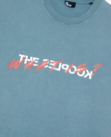 The Kooples HOMME BLUE GREY t-shirt what is bleu