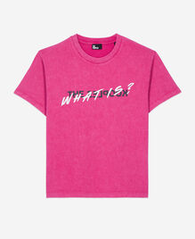 , FUSHIA, hi-res image number null