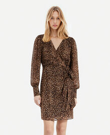 , LEOPARD, hi-res image number null