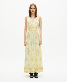 , YELLOW, hi-res image number null