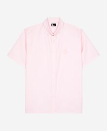 , PALE PINK, hi-res image number null