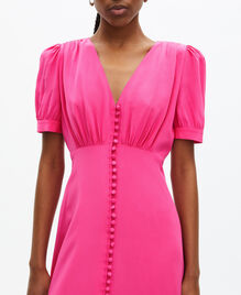 , FUSHIA, hi-res image number null