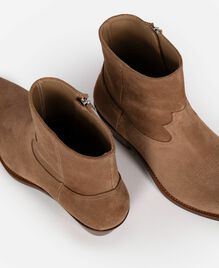 , BROWN, hi-res image number null