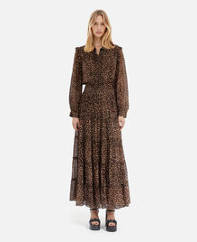 , LEOPARD, hi-res image number null