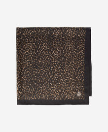 , LEOPARD, hi-res image number null