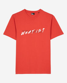 , RED, hi-res image number null