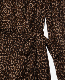 , LEOPARD, hi-res image number null