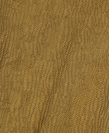 , KAKI, hi-res image number null