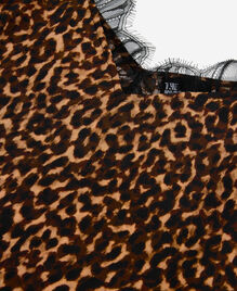 , LEOPARD, hi-res image number null