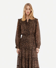 , LEOPARD, hi-res image number null