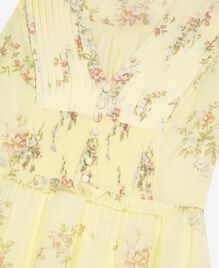 , YELLOW, hi-res image number null