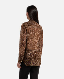 , LEOPARD, hi-res image number null