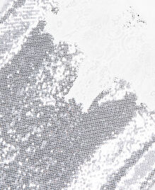 , SILVER, hi-res image number null